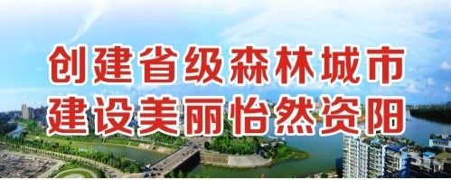 爱昆仑操逼网创建省级森林城市 建设美丽怡然资阳