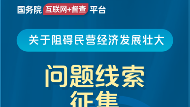 大jb猛国务院“互联网+督查”平台公开征集阻碍民营经济发展壮大问题线索